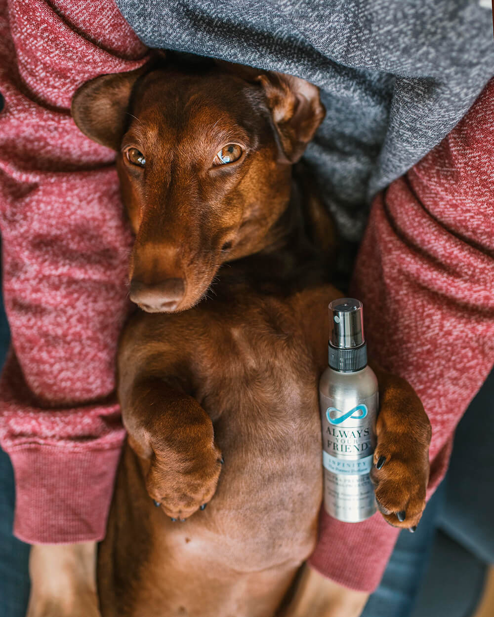 Always Your Friend Perfume Infinity image 3