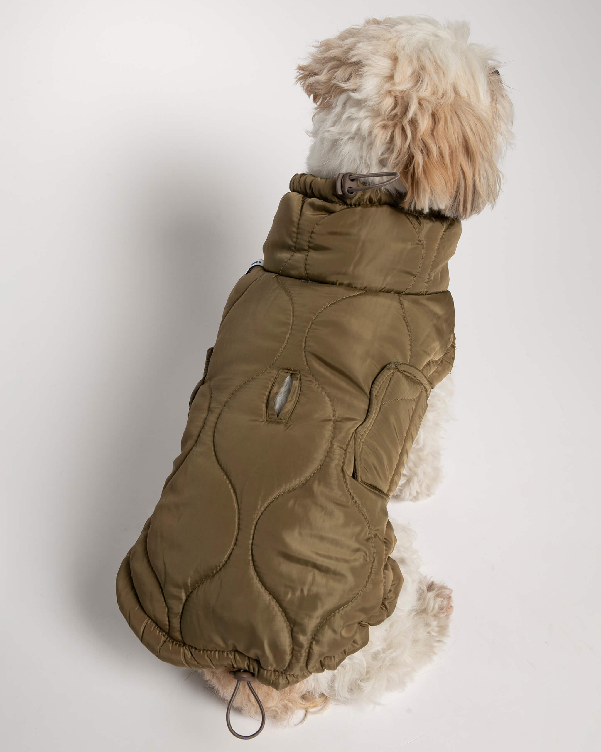 Plumas Puffer Abrigo Perro image 8