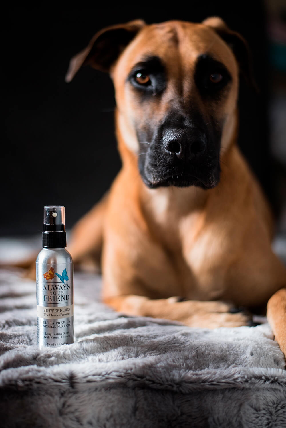 Always Your Friend Perfume Butterflies image 2