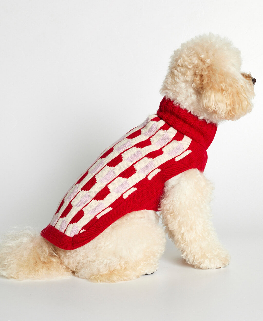 Jersey para perro Donald image 0