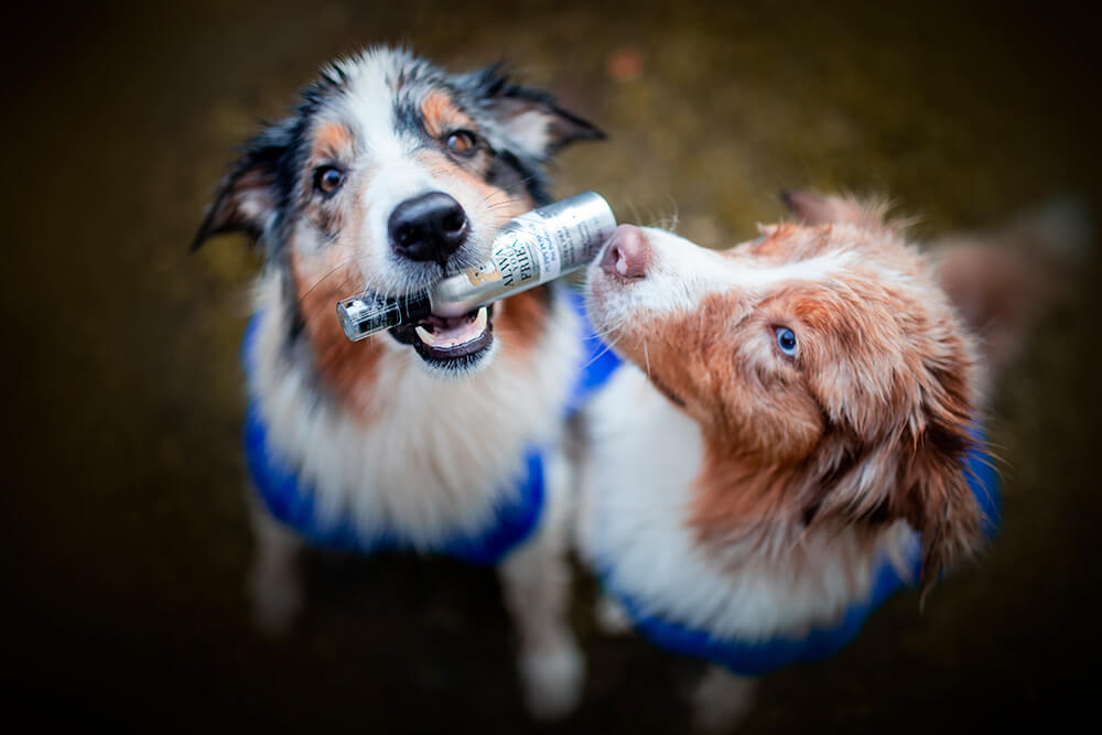 Always Your Friend Perfume Puppy Powder image 2