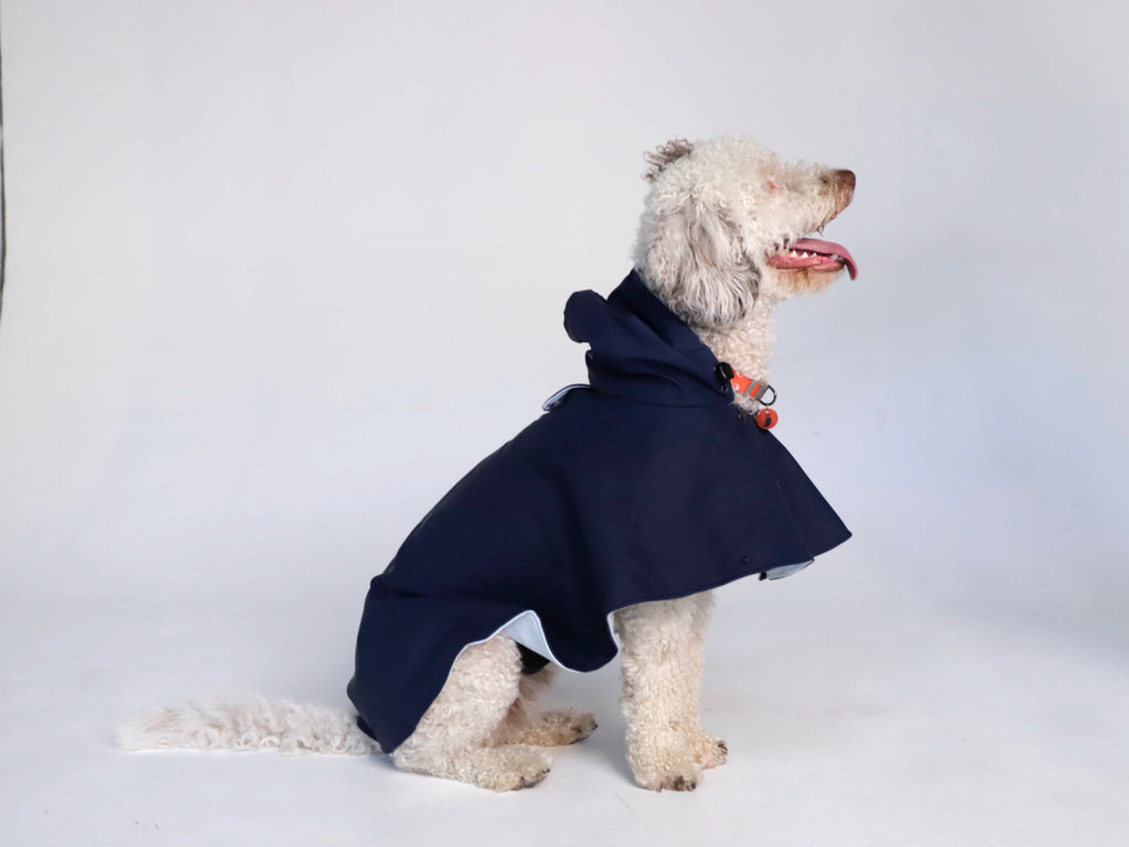 Capa de lluvia perro William image 2