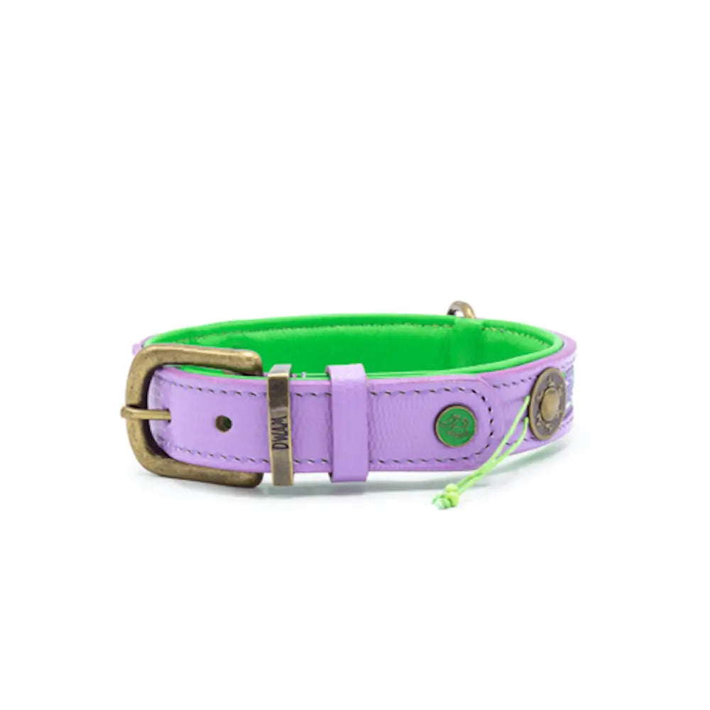 Dwam Collar Smiley image 4