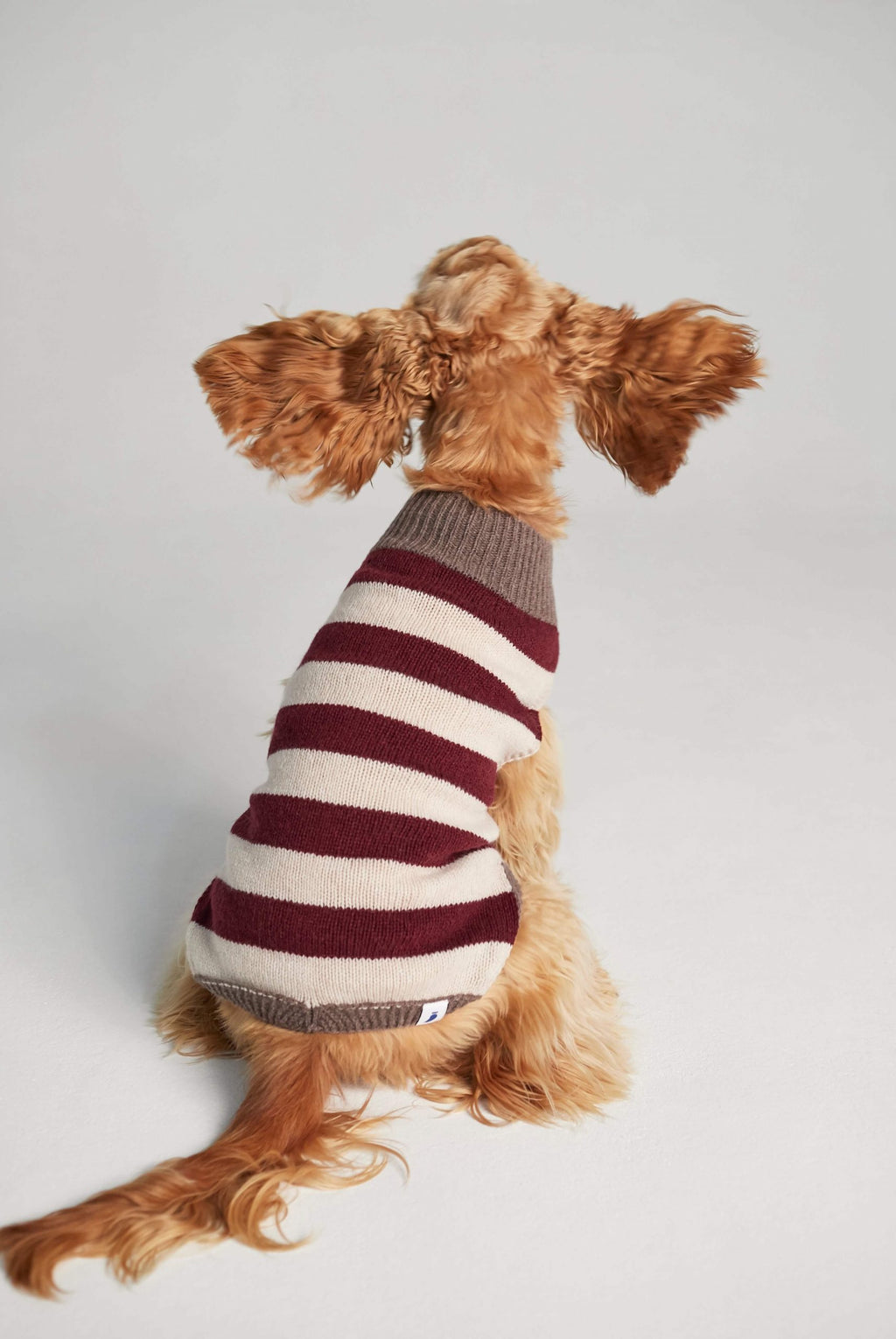 JERSEY ANNI RAYAS image 3