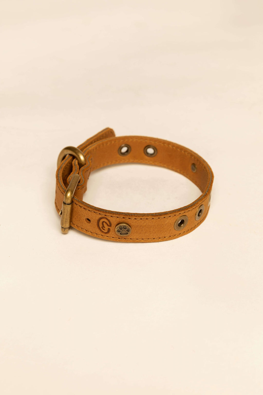 Micuir Pets Collar Tachas image 8