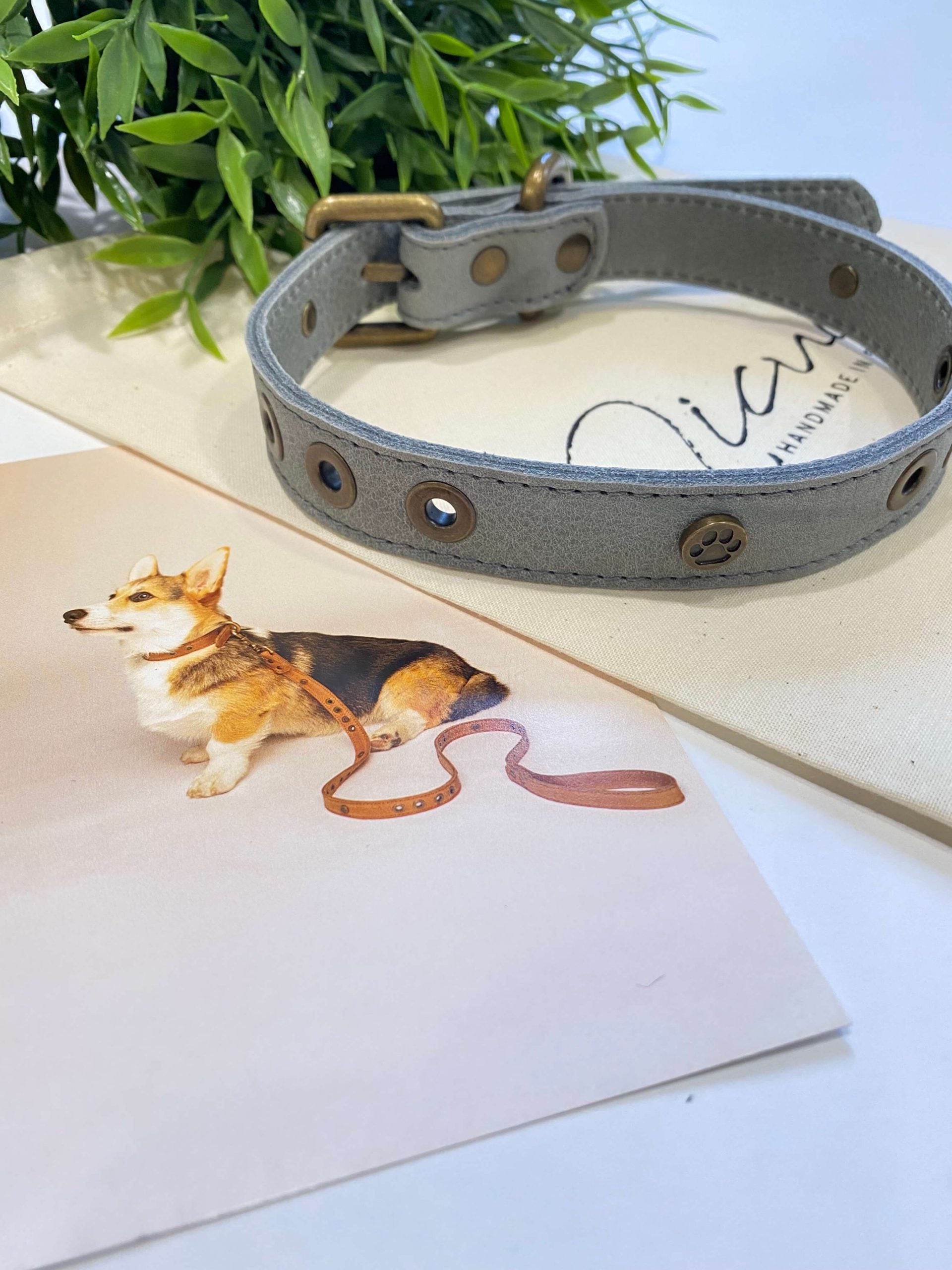 Micuir Pets Collar Tachas image 3