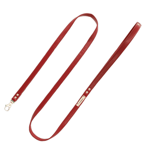 Correa Roja Funkylicious image 0