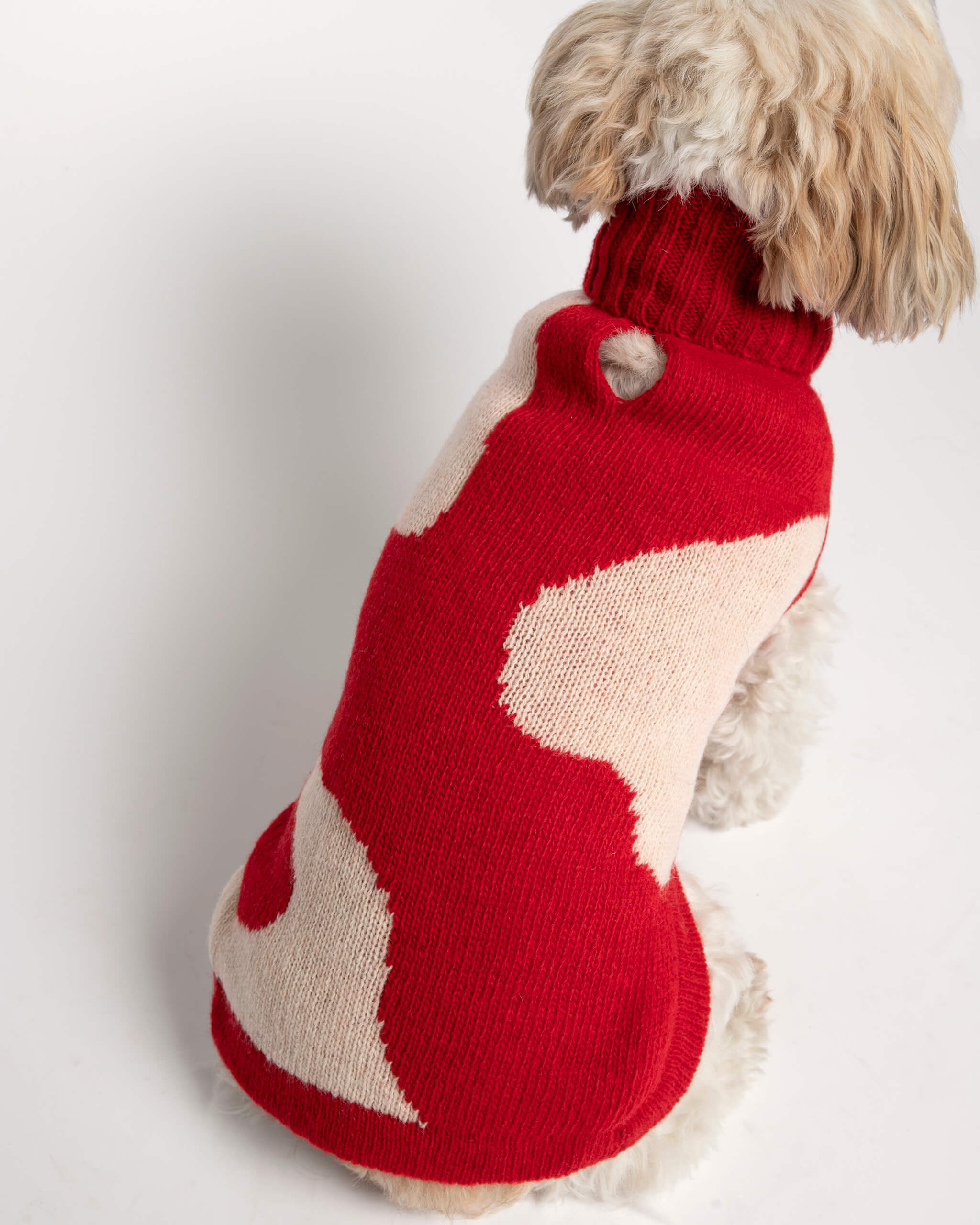 Jersey para perro René image 10