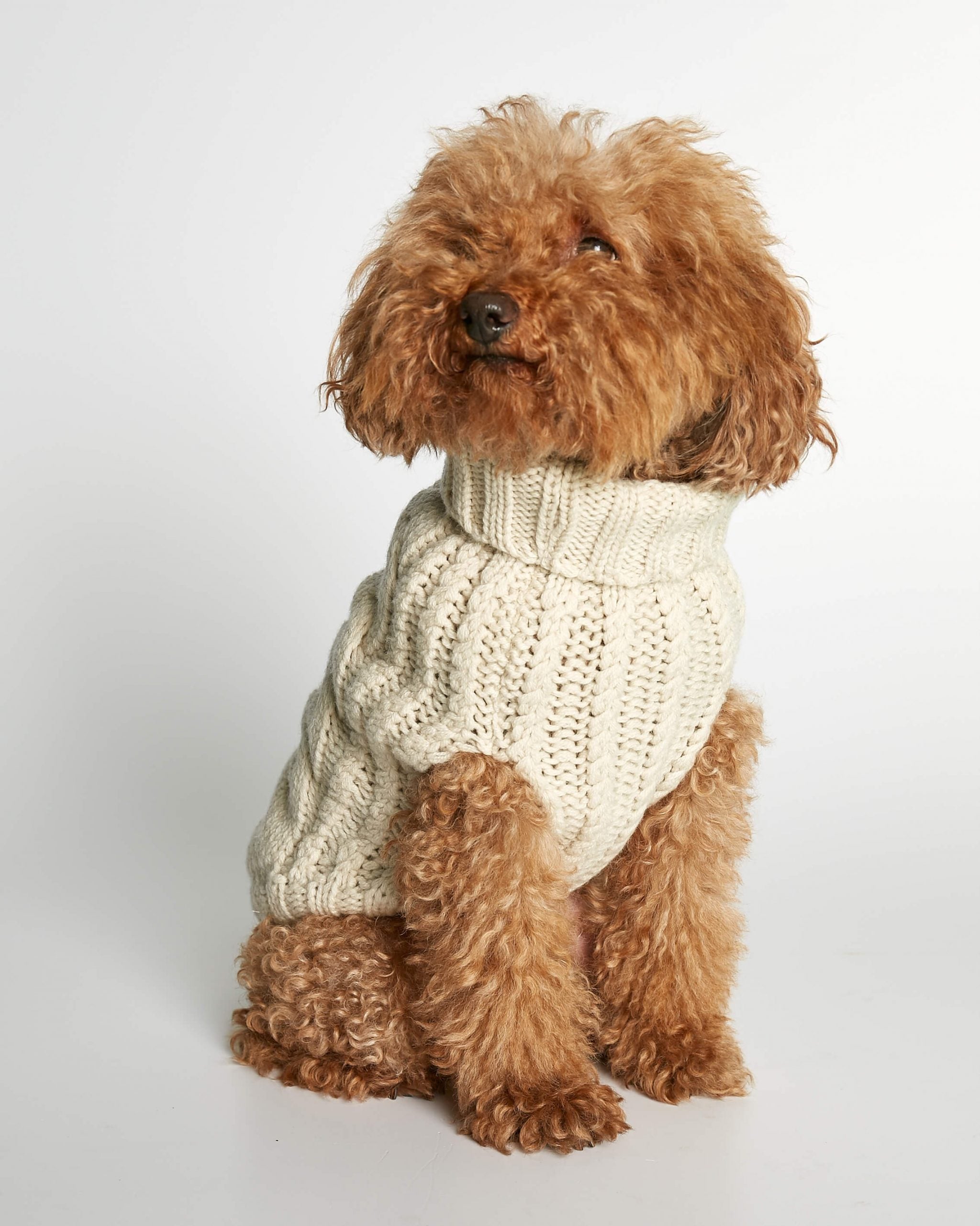 Jersey John B Vanilla image 0