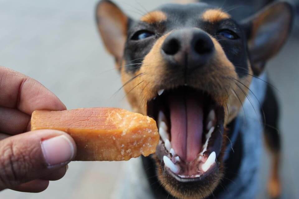 Stick leche de Yak Churpi image 2