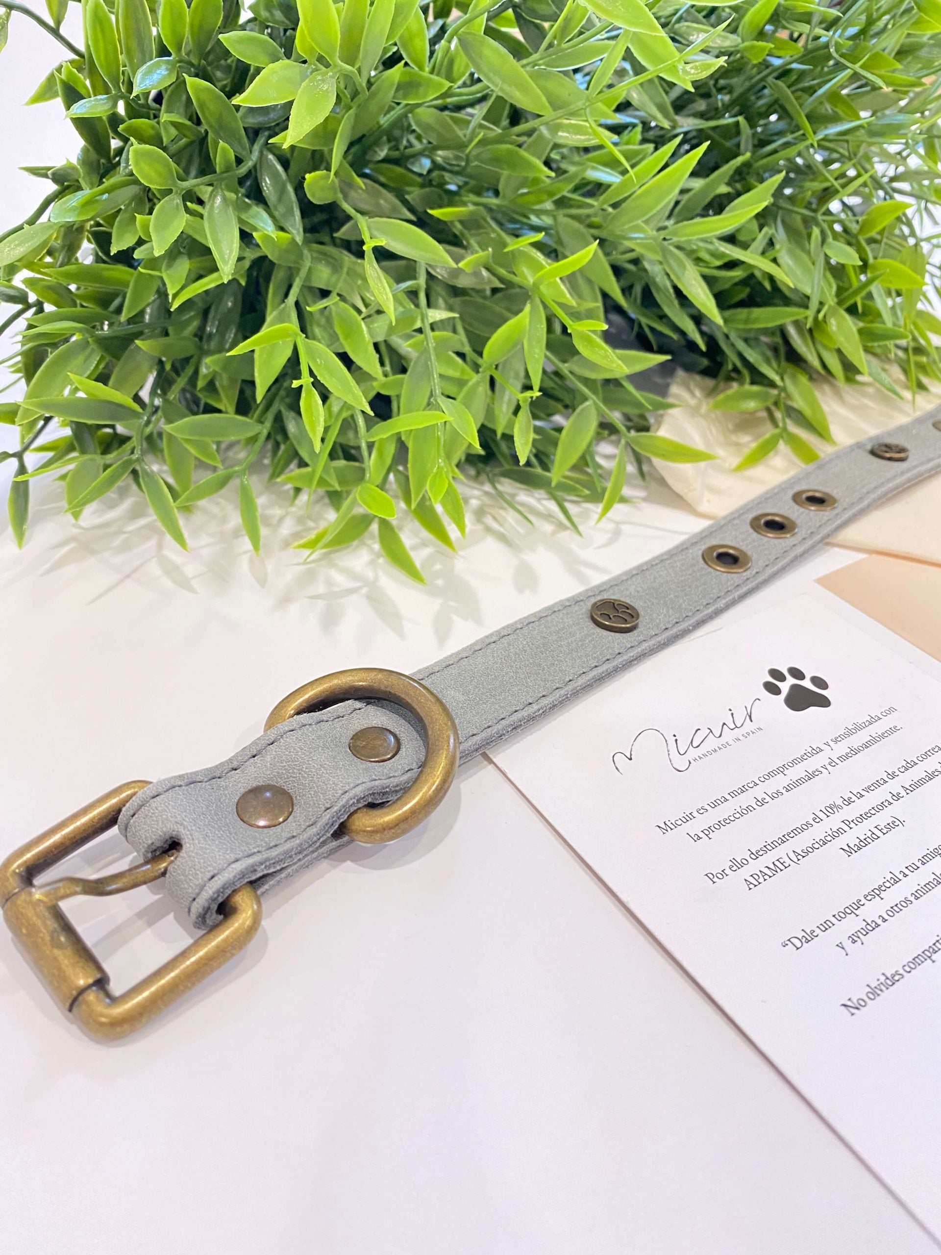 Micuir Pets Collar Tachas image 6