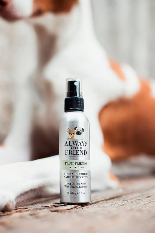 Always Your Friend Perfume Fruit and Friends image 1