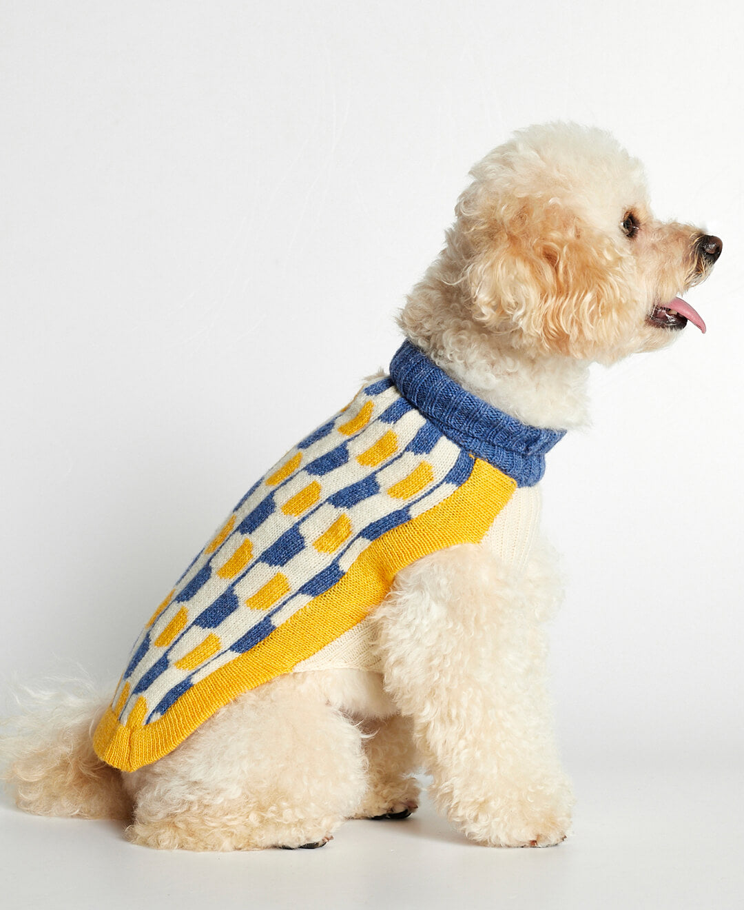 Jersey para perro Donald image 3