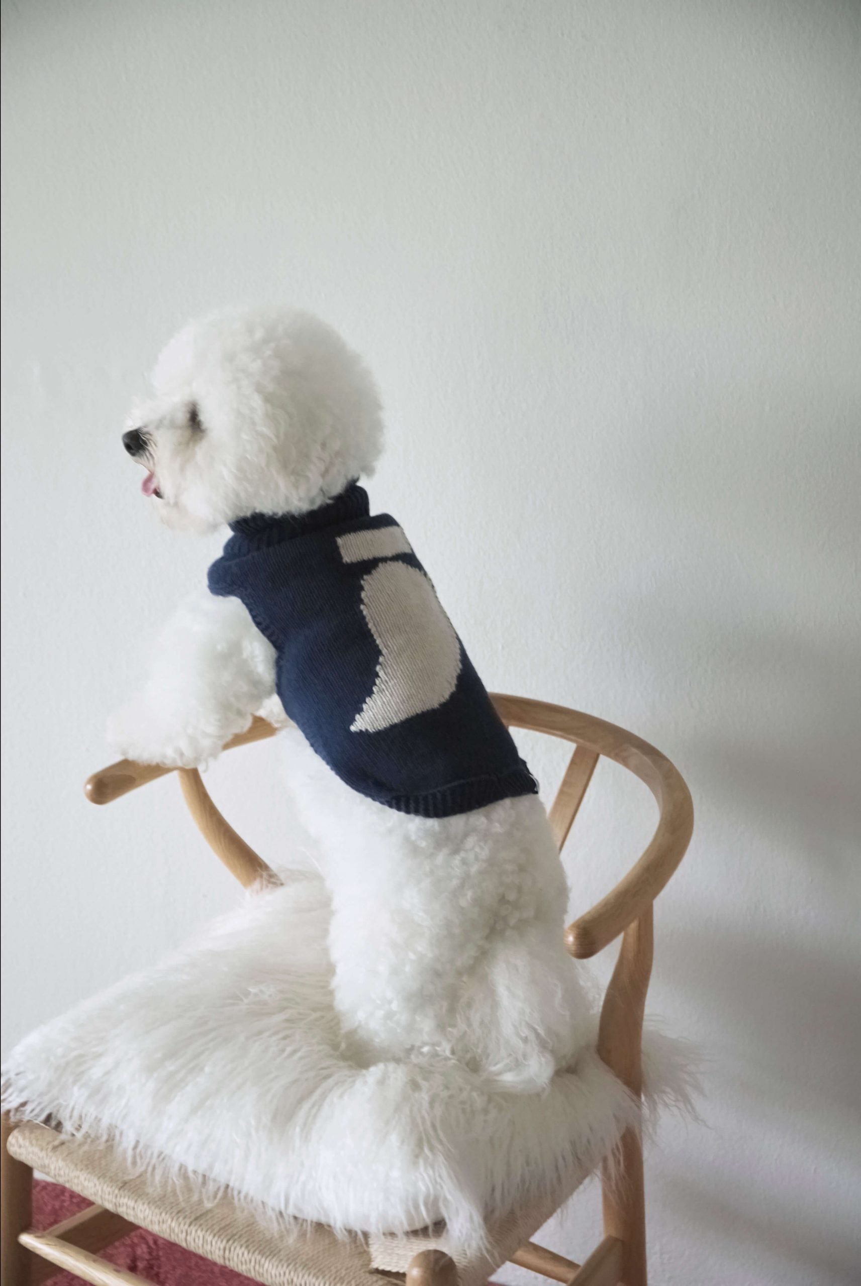 Jersey perro navy George image 2