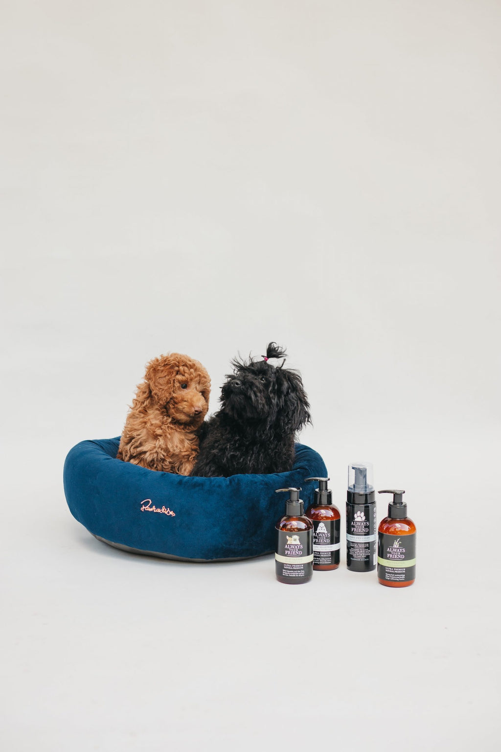 Cama Donuts Royal Navy Pawradise image 1