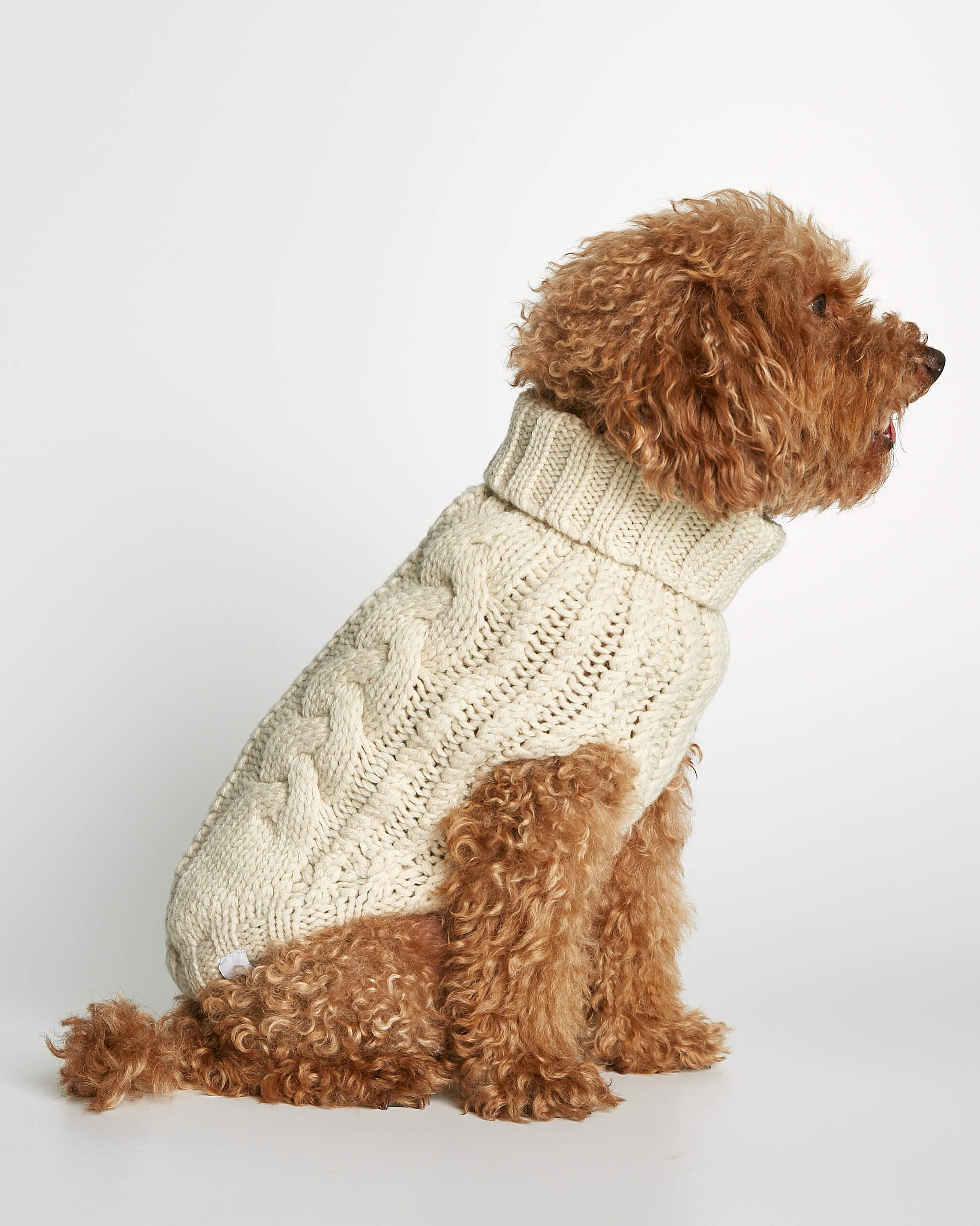 Jersey John B Vanilla image 2