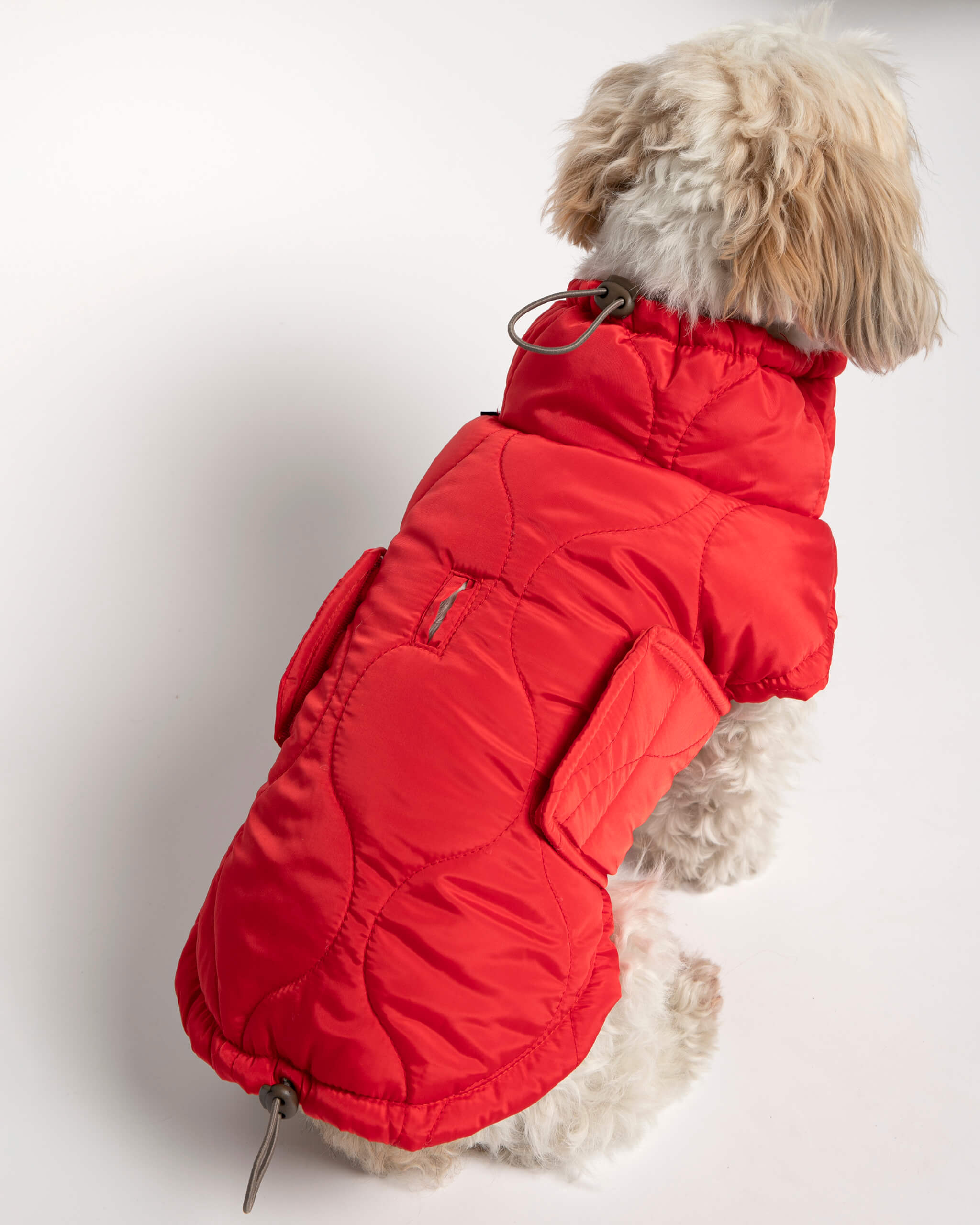 Plumas Puffer Abrigo Perro image 7