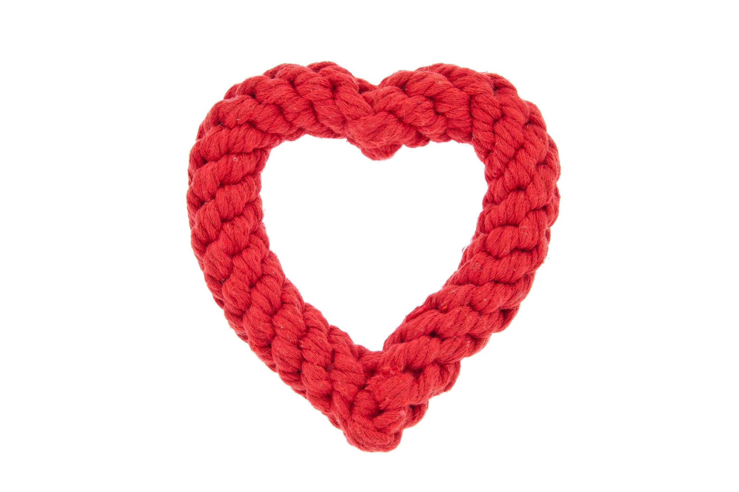 Corazón trenzado para perro image 0