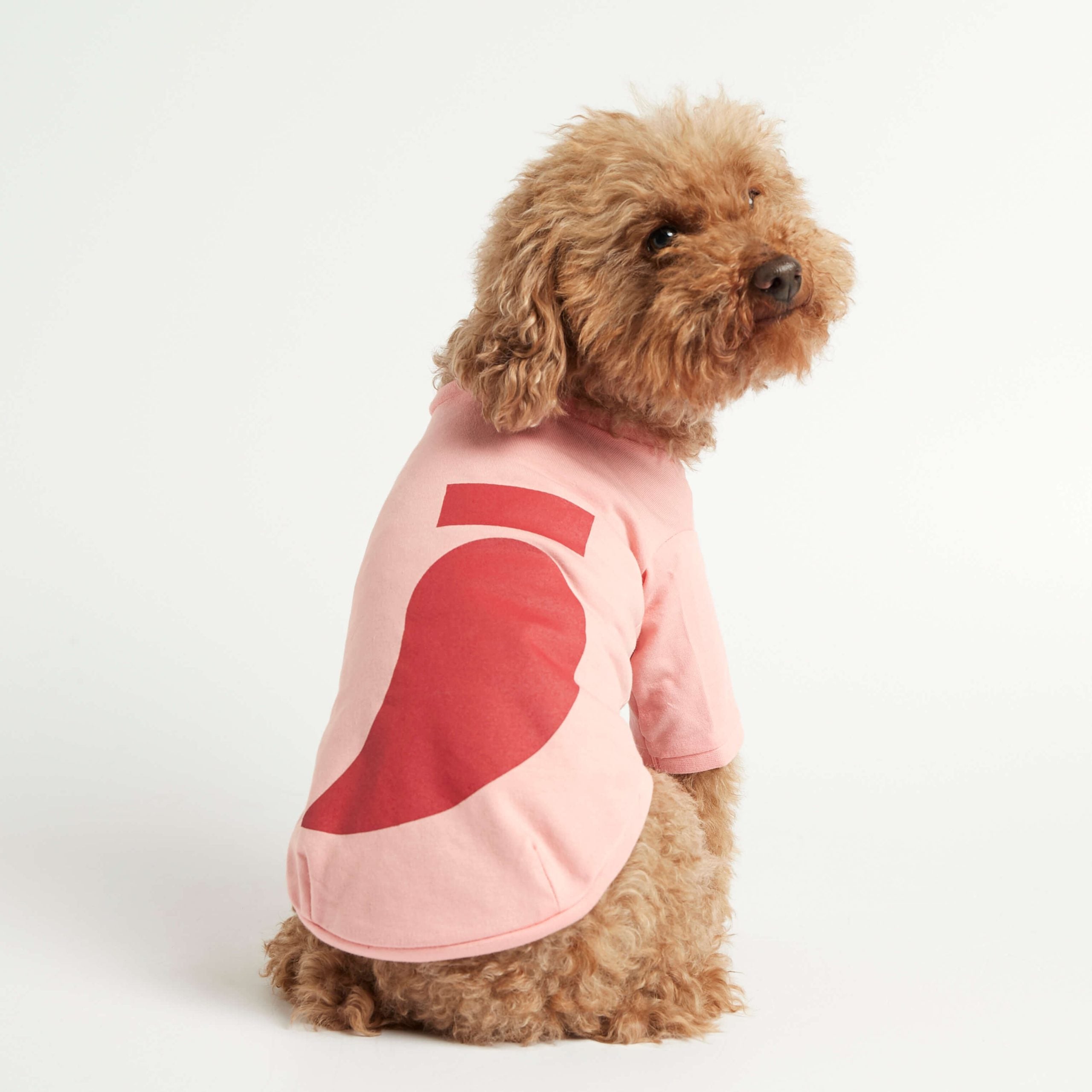 Camiseta perro de algodón image 0