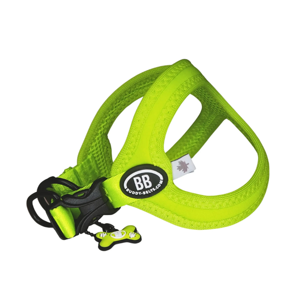Buddy Belts Sport Vibrant Neon image 5