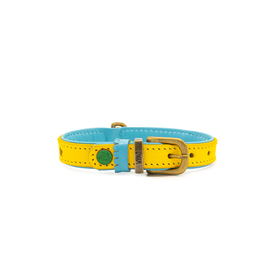 Dwam Collar Amarillo Estrellas image 4