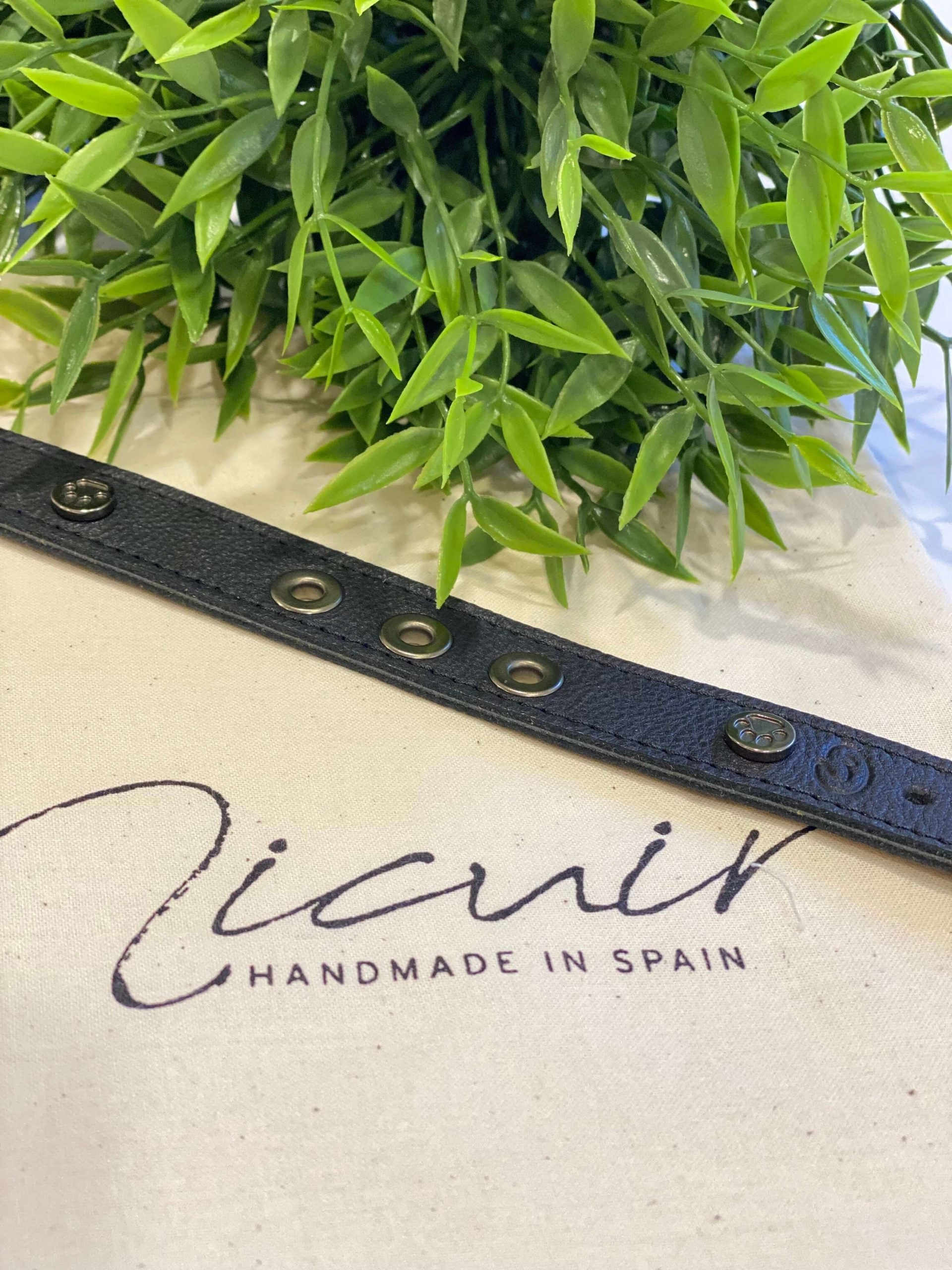 Micuir Pets Collar Tachas - M NEGRO image