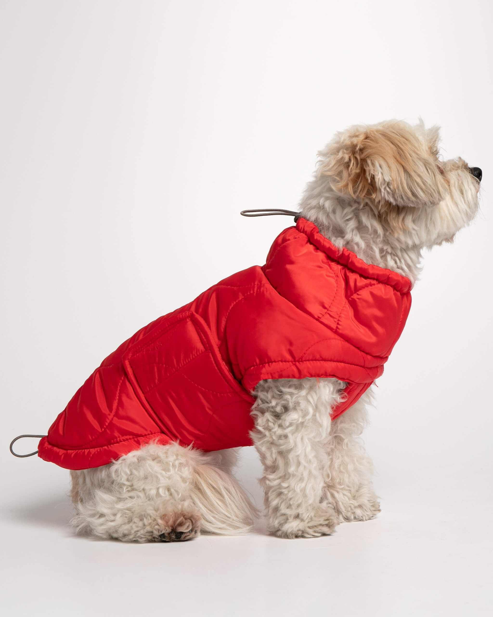 Plumas Puffer Abrigo Perro image 4
