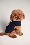 Jersey perro navy George image 0