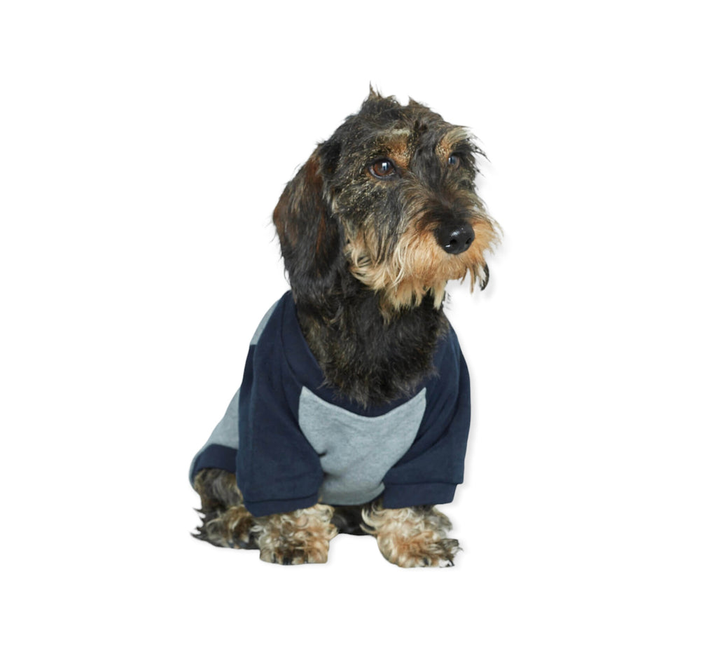Sudadera perro Blinky image 1