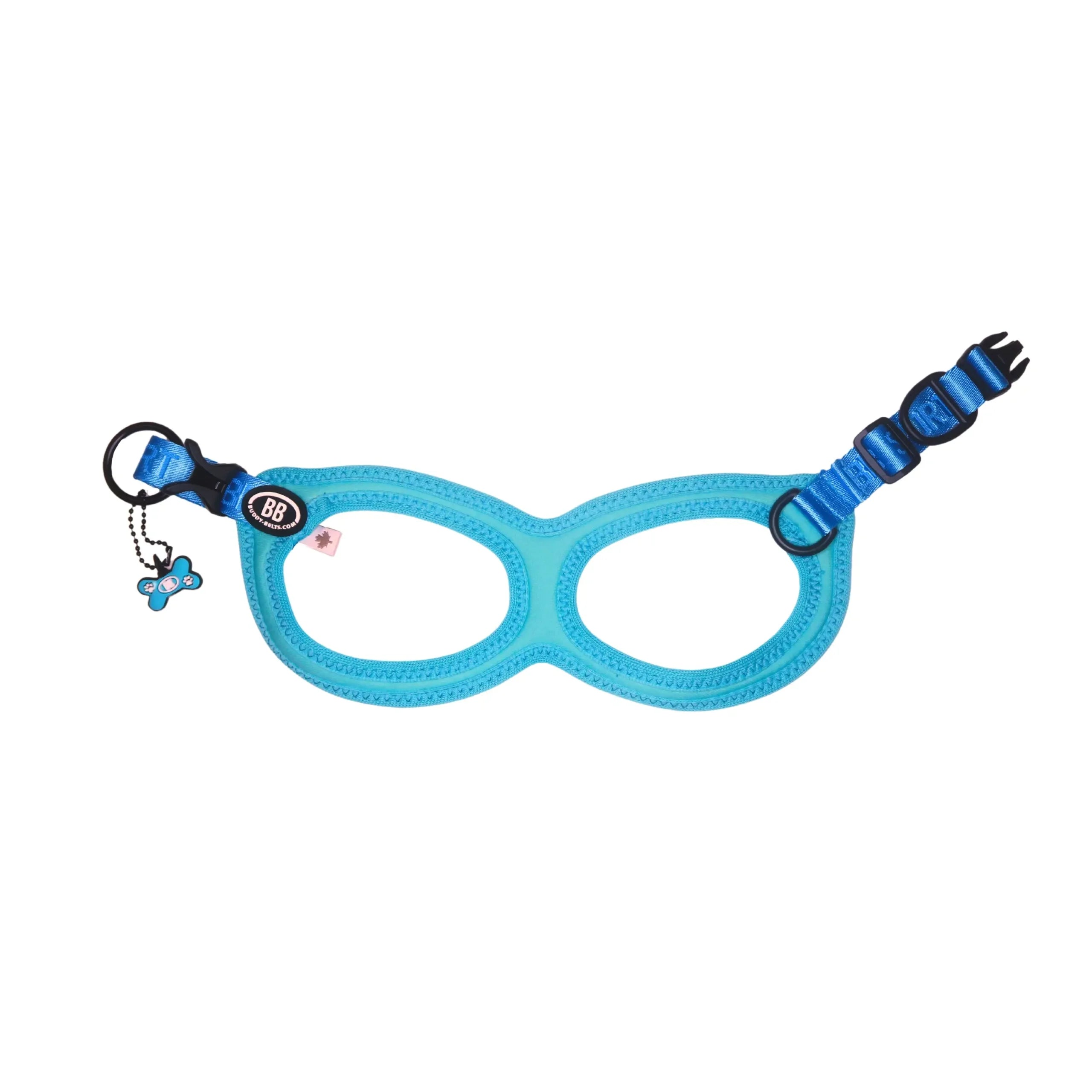 Buddy Belts Sport Vibrant Neon - TURQUESA 4 image