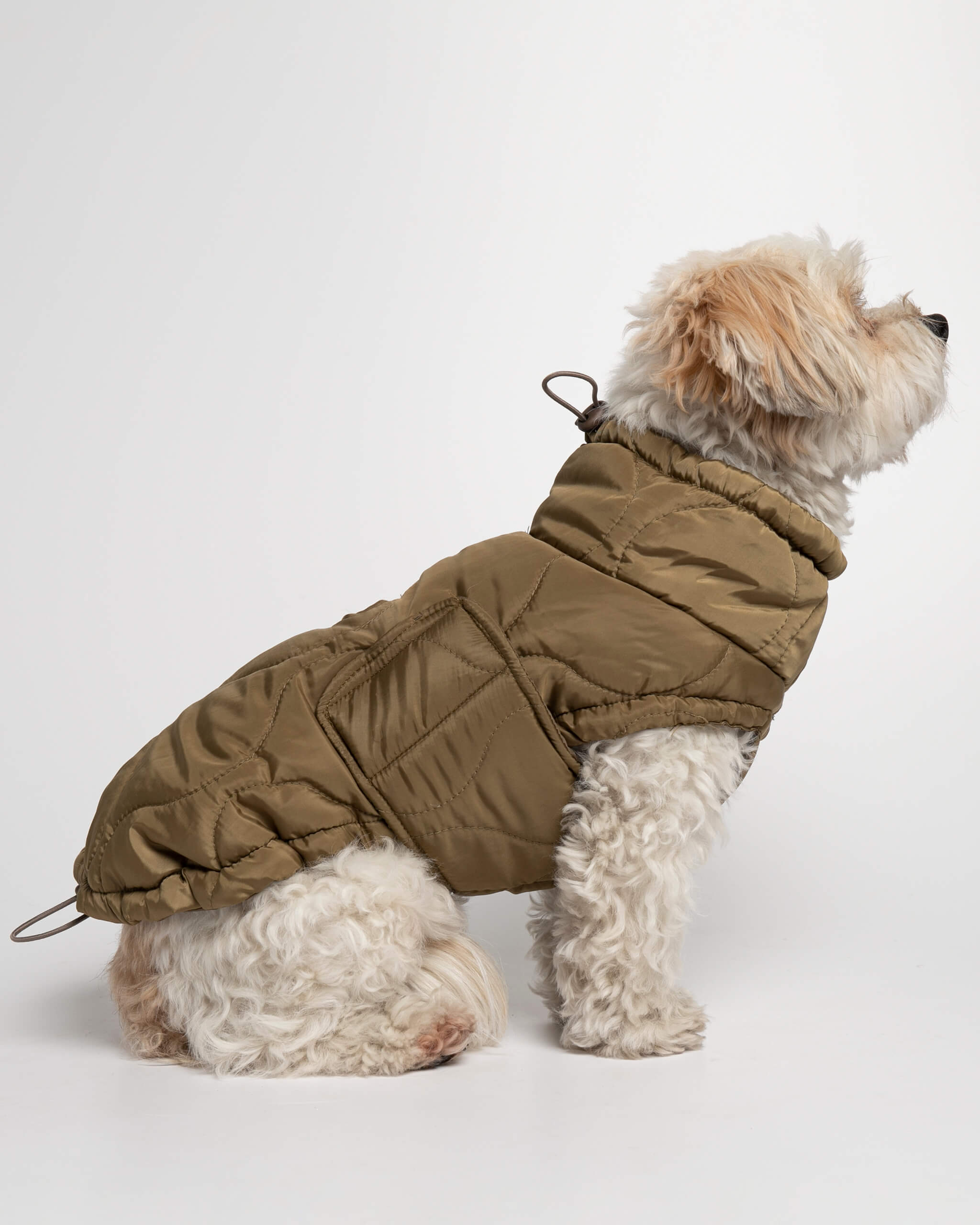 Plumas Puffer Abrigo Perro image 2