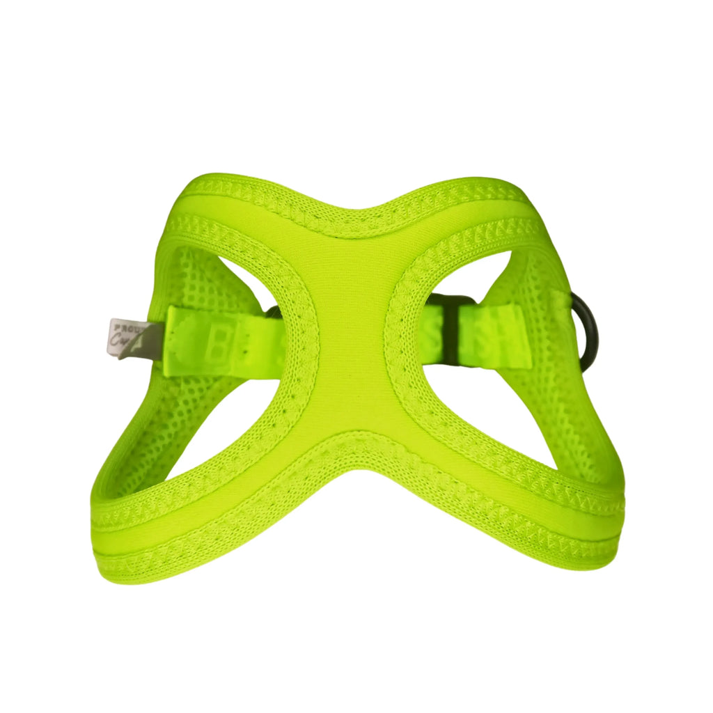 Buddy Belts Sport Vibrant Neon image 4