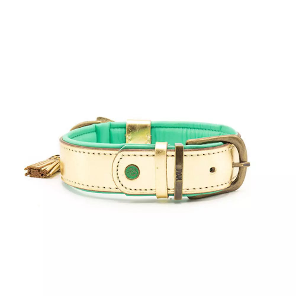 Dwam collar dorado Bling image 4