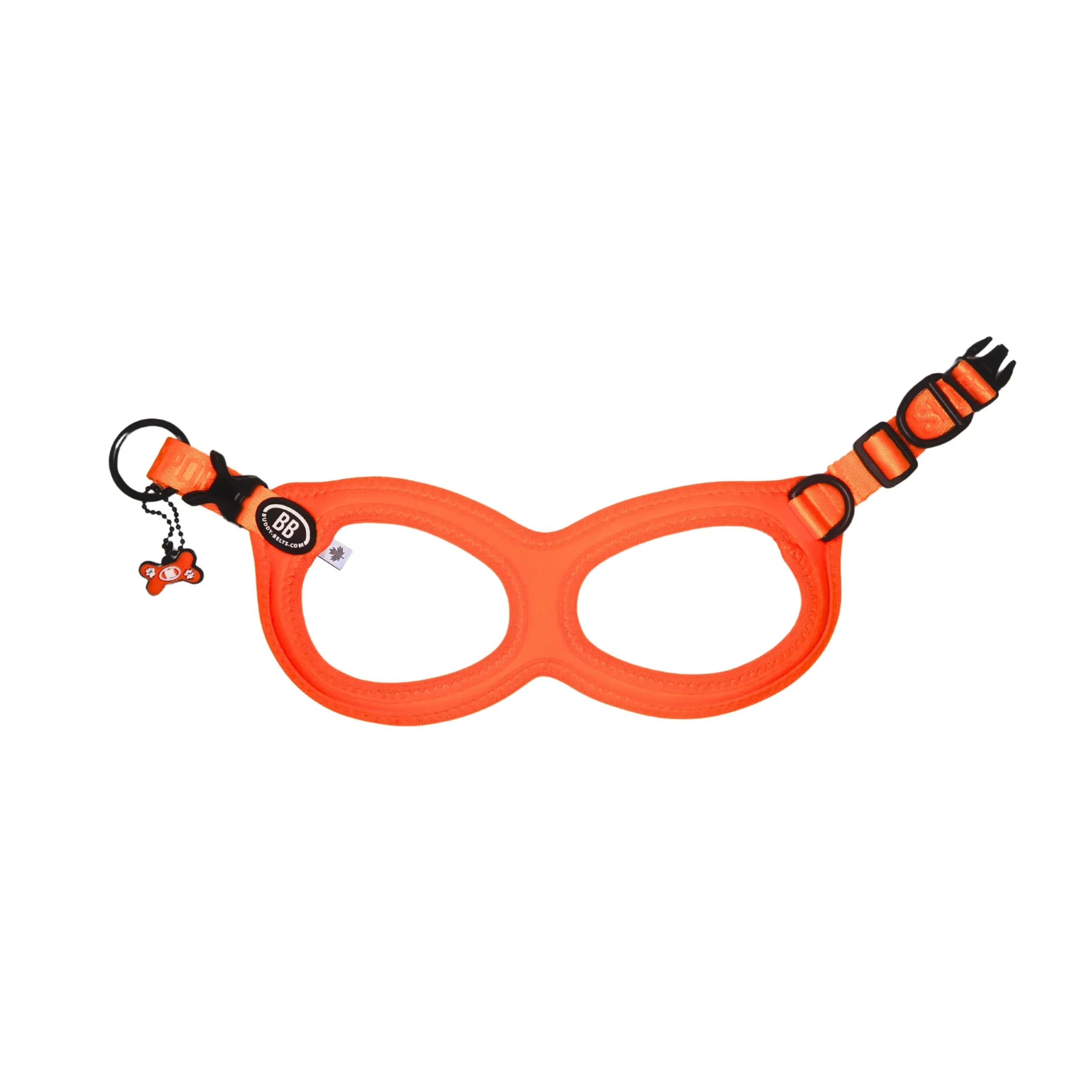 Buddy Belts Sport Vibrant Neon image 3