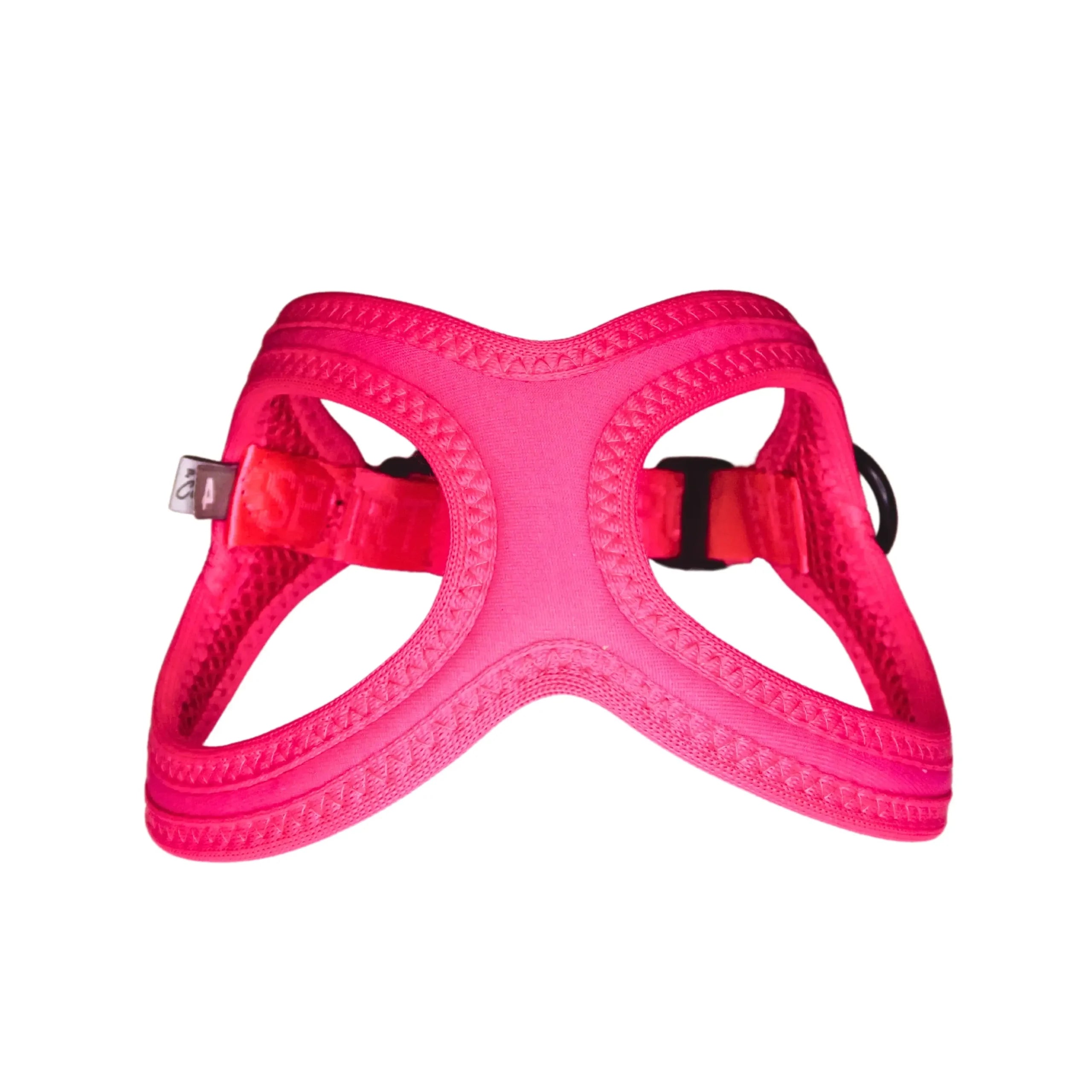 Buddy Belts Sport Vibrant Neon - ROSA 3 image