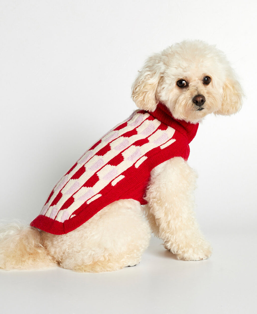 Jersey para perro Donald image 7