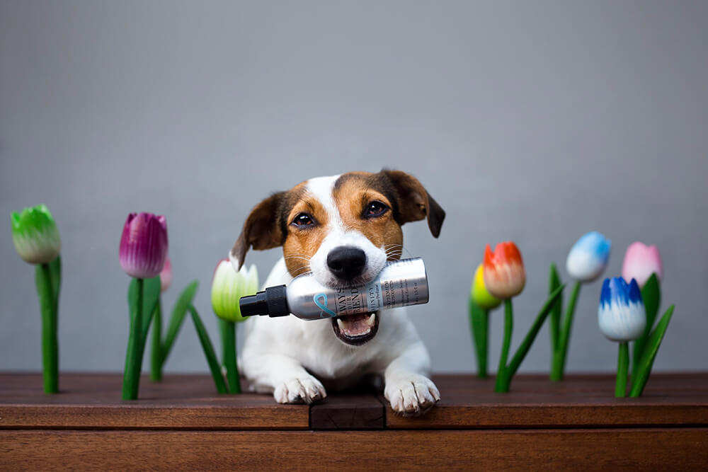 Always Your Friend Perfume Infinity image 2