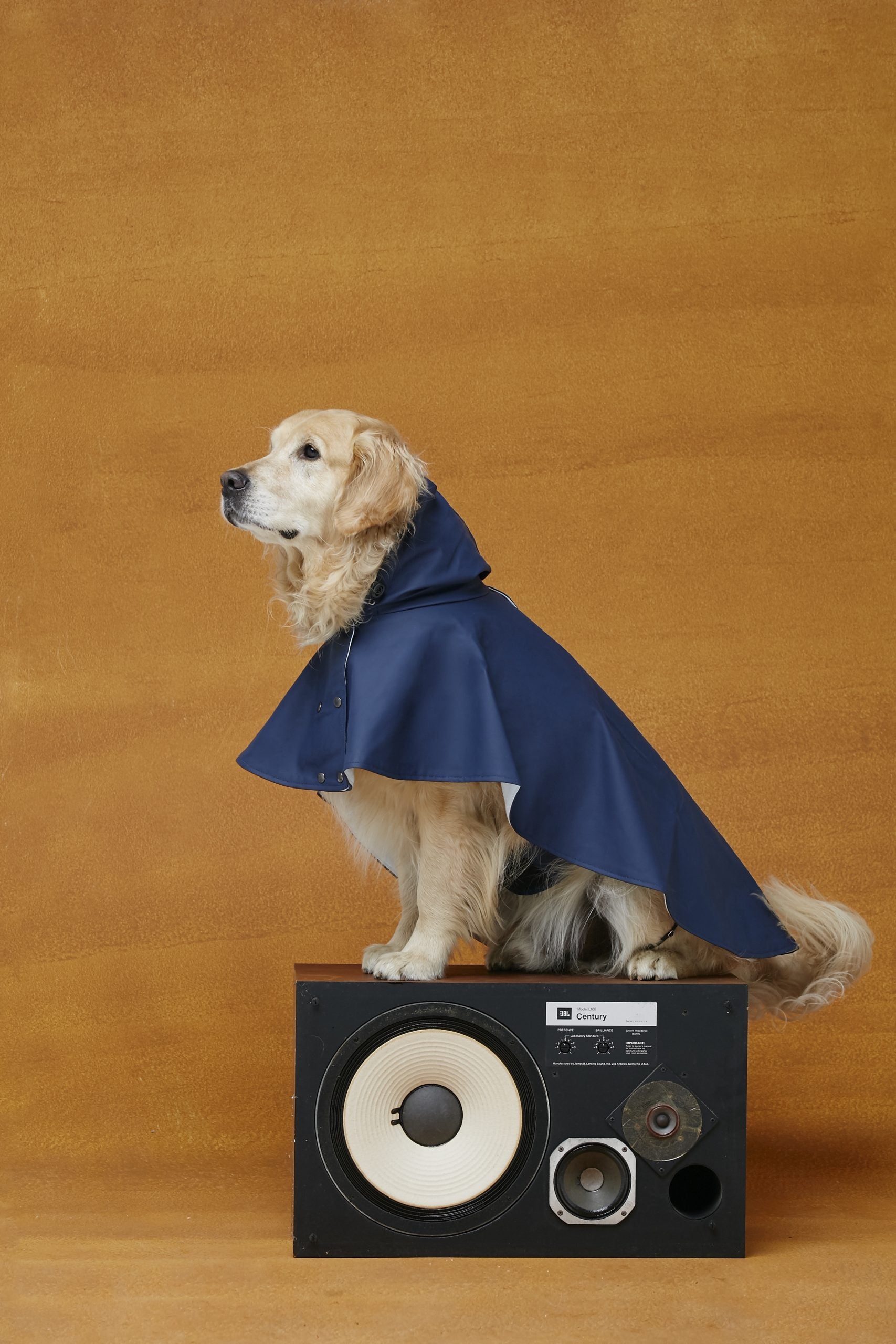 Capa de lluvia perro William image 5