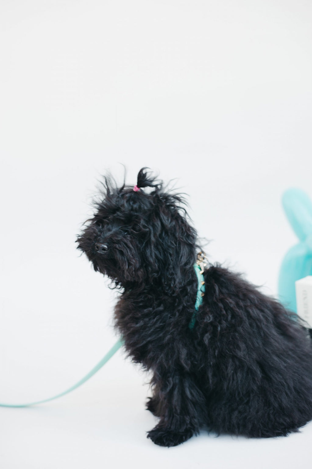 Arnés Baby Punk Mint Funkylicious image 3