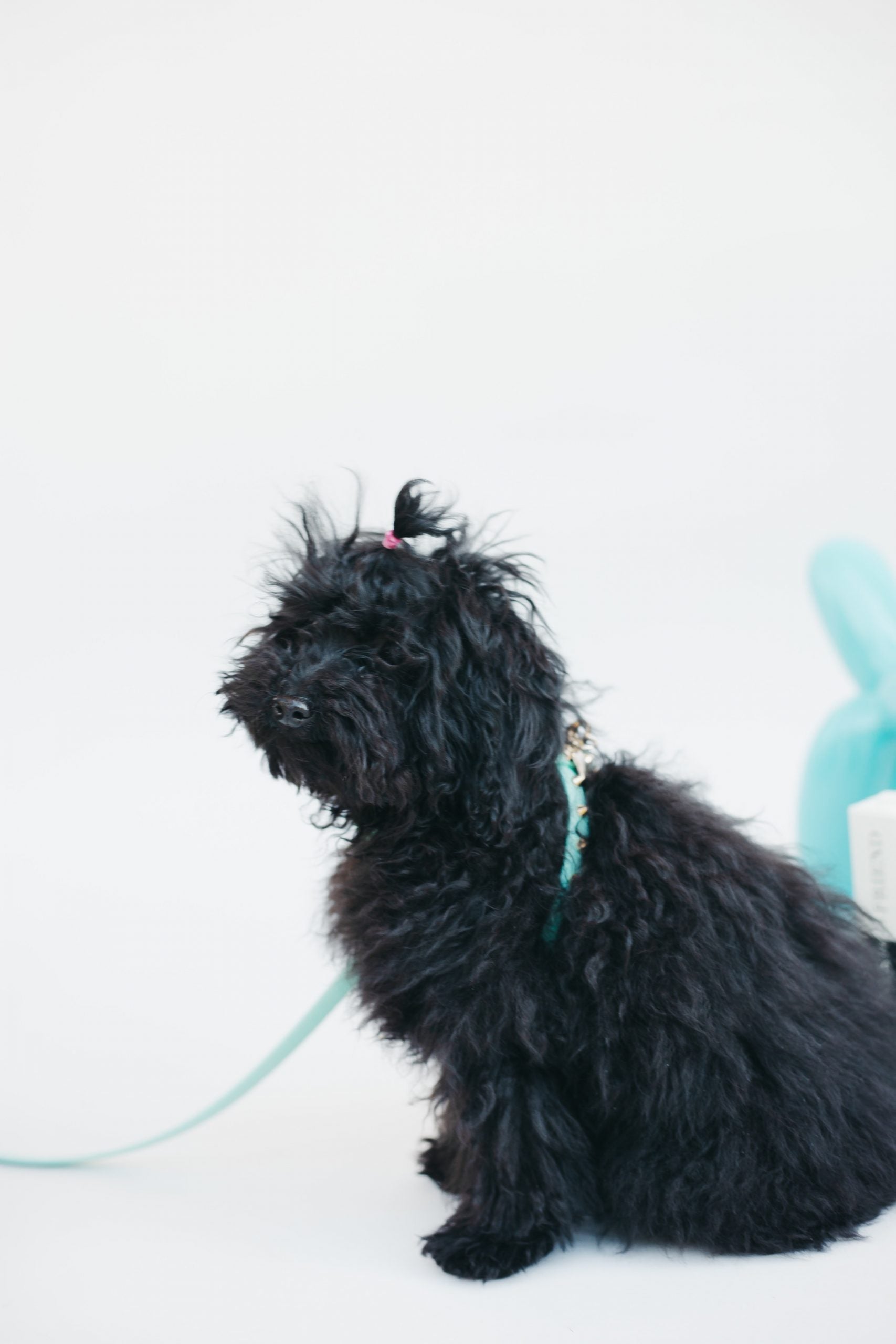 Arnés Baby Punk Mint Funkylicious image 3