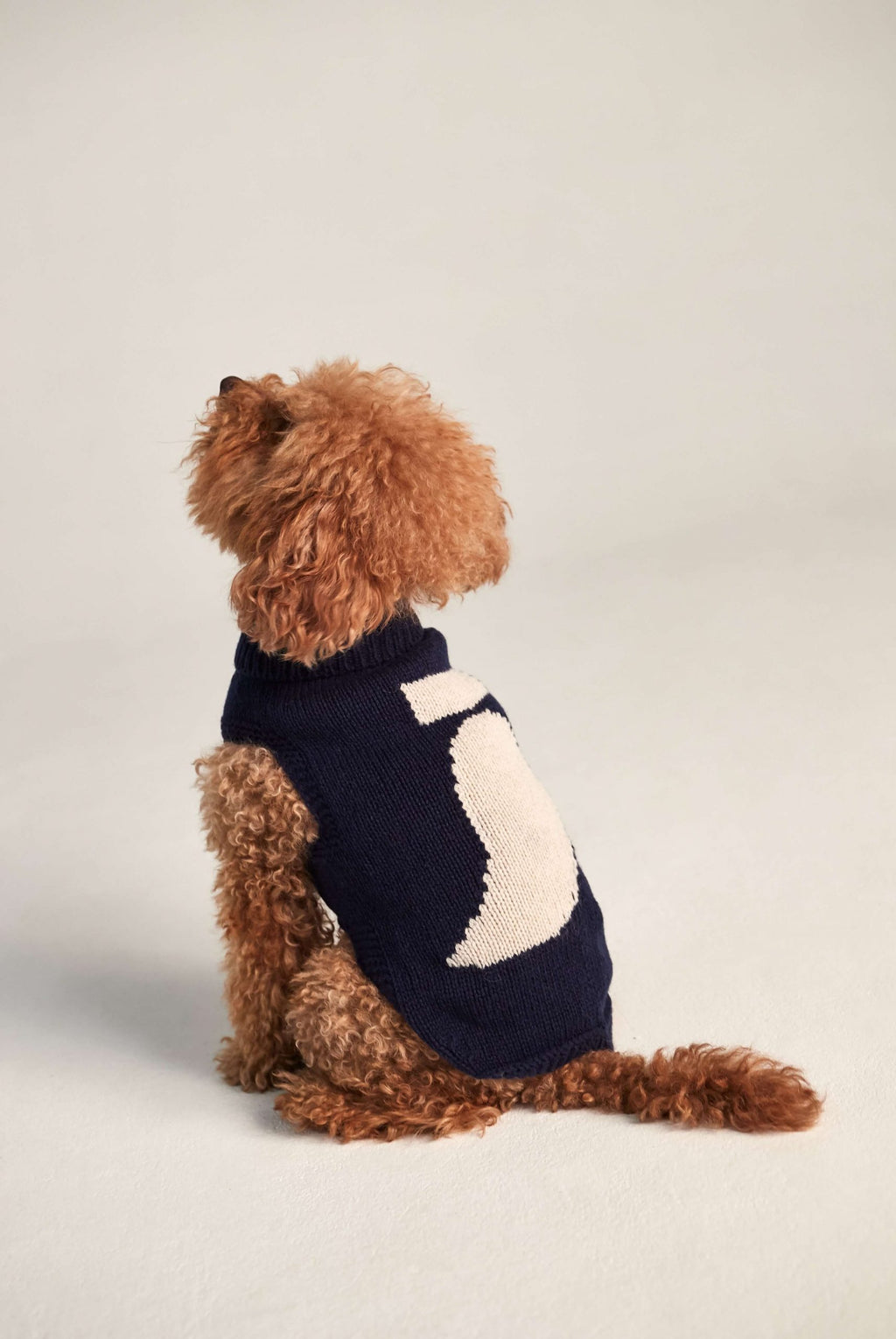 Jersey perro navy George image 1