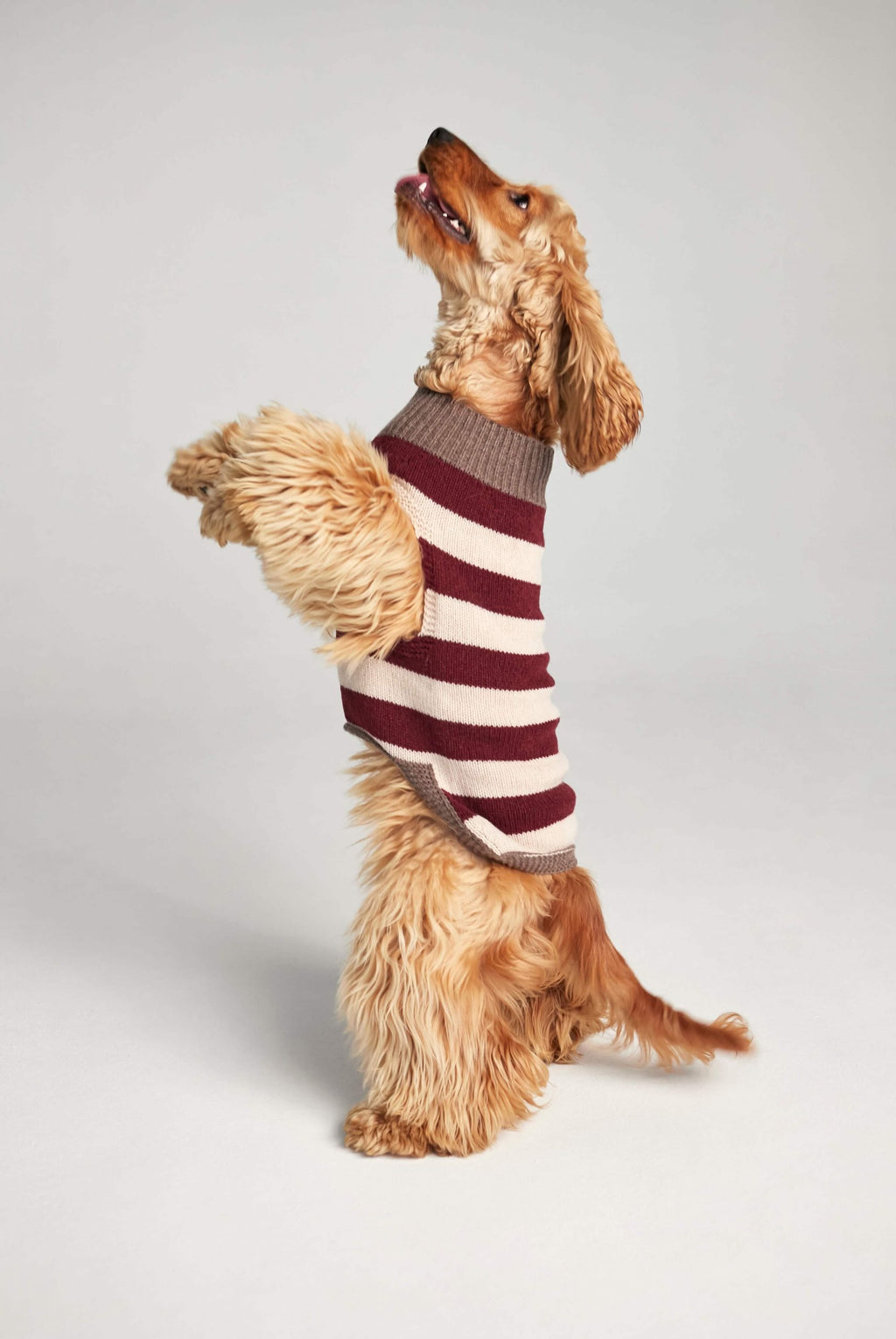 JERSEY ANNI RAYAS image 2