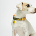 Collar perro Sonia Mimosa y Musgo image 0