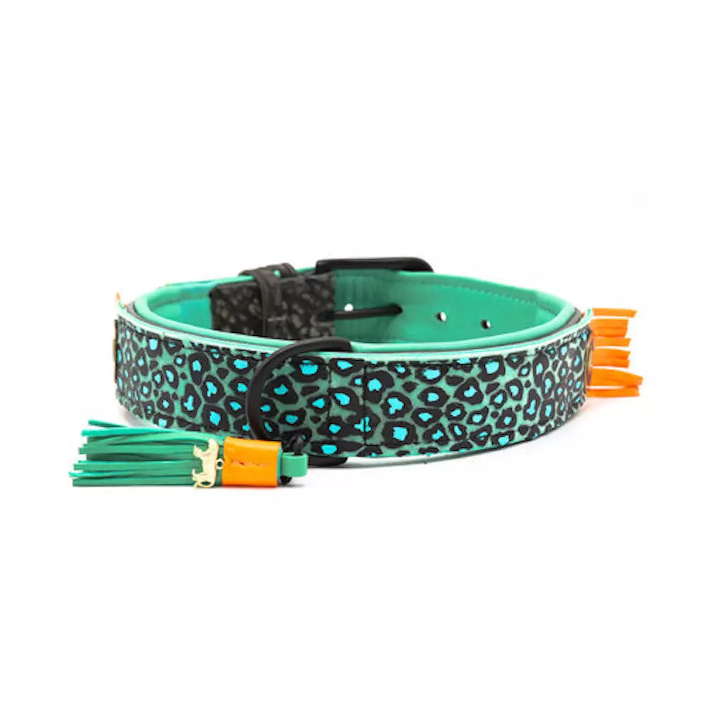 Dwam collar Blue Bird image 1