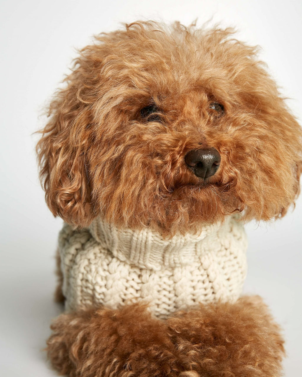 Jersey John B Vanilla image 3