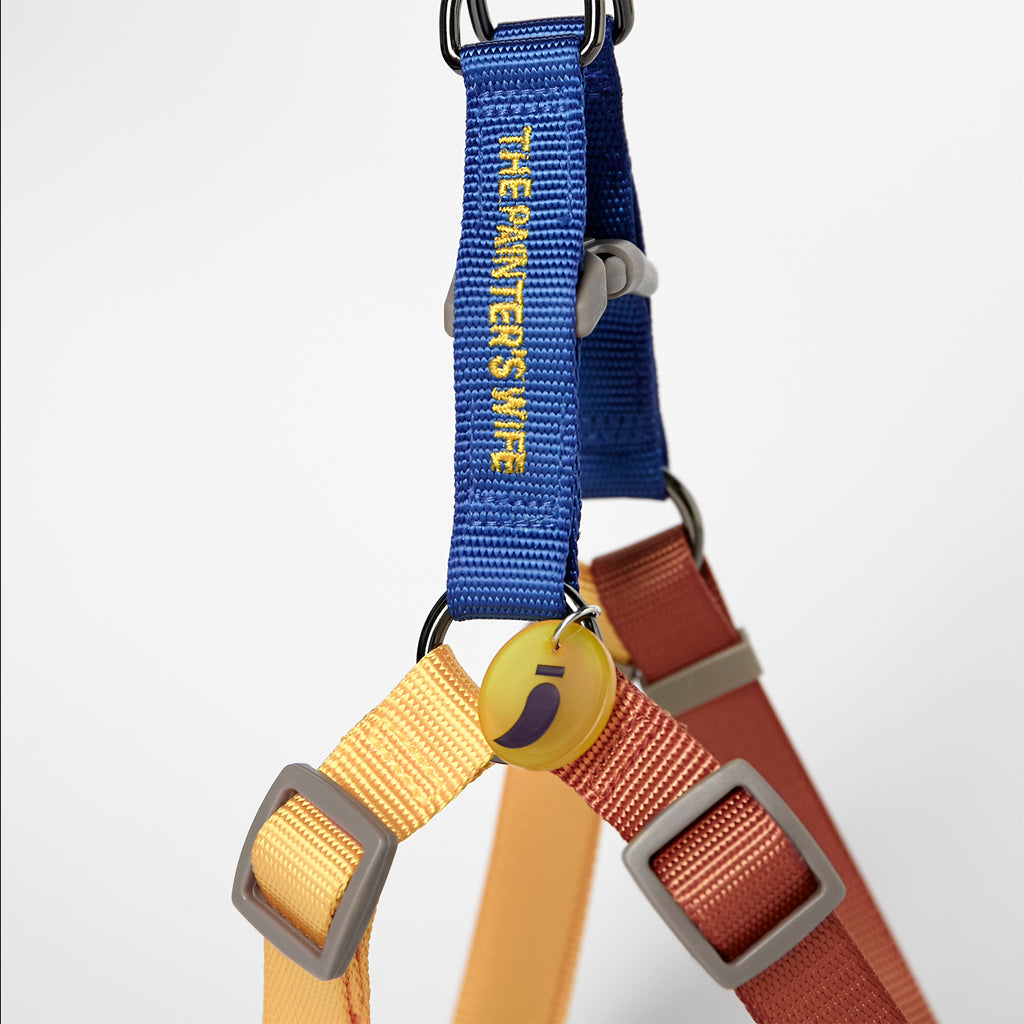 Arnes perro Sonia Mimosa y Musgo image 1