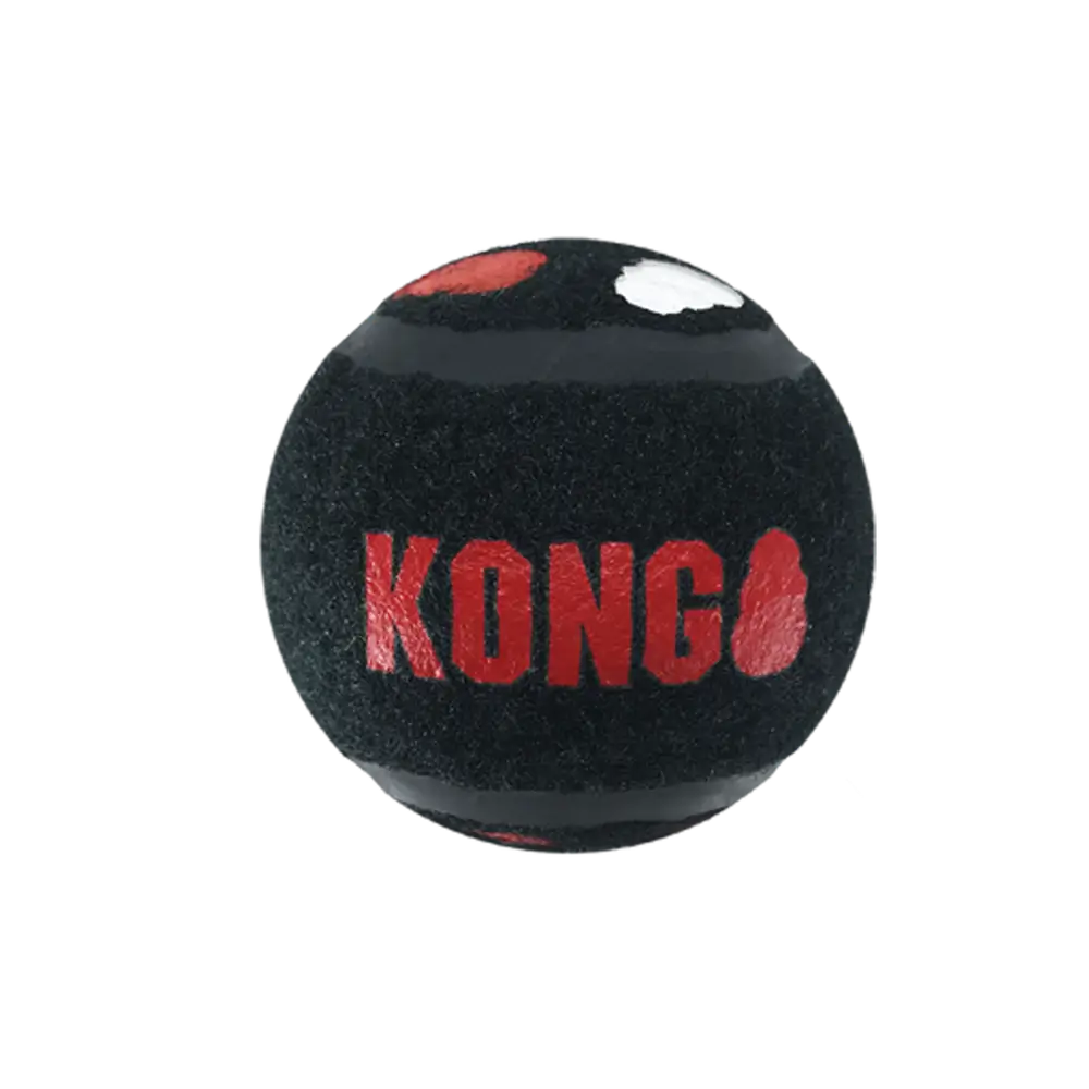 KONG Pack 3 pelotas sport signature image 1
