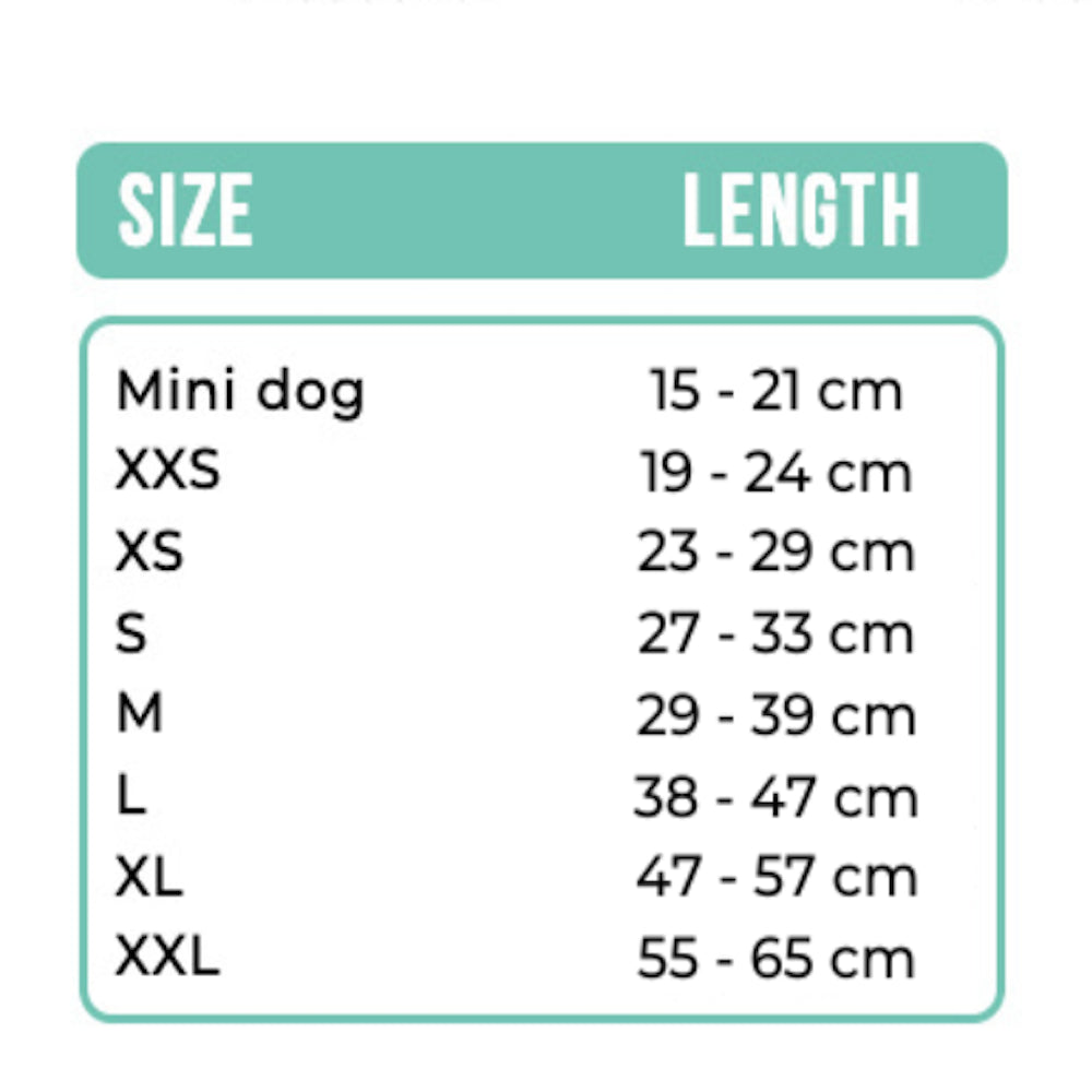 Dwam Collar Amarillo Estrellas image 6