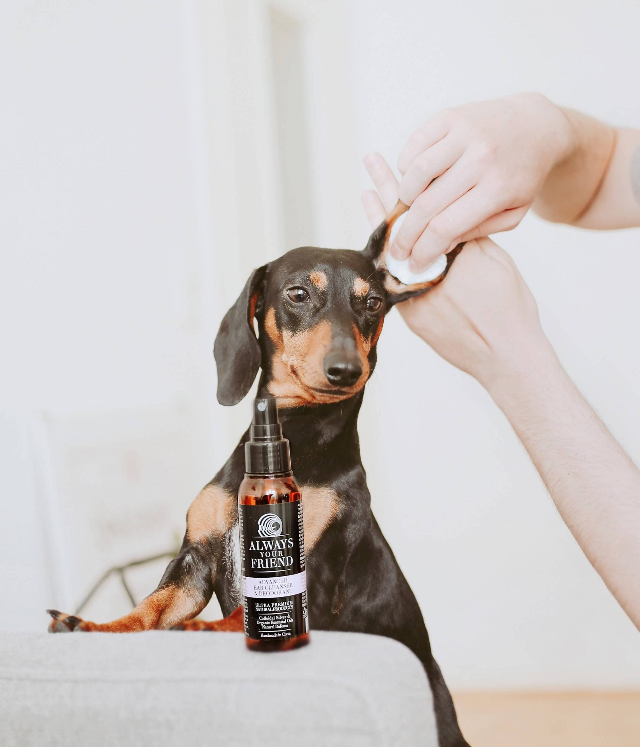 Always Your Friend - Limpiador oídos y desodorante image 1