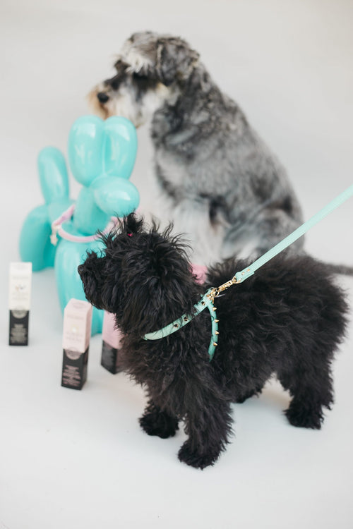 Arnés Baby Punk Mint Funkylicious image 1